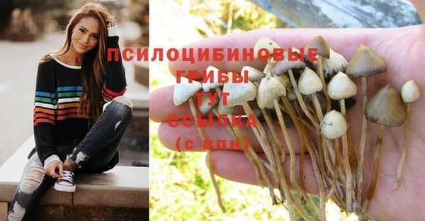 метадон Балабаново