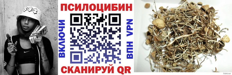 Галлюциногенные грибы Cubensis Белоусово